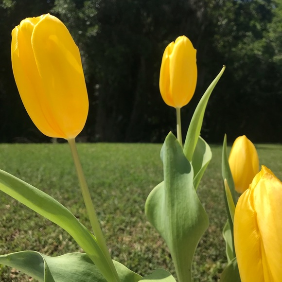 Meet your Posher, Brittney - Picture 1 of 1